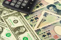Master the Fundamentals of Forex Trading: Navigate Currency Markets Like a Pro visualisation